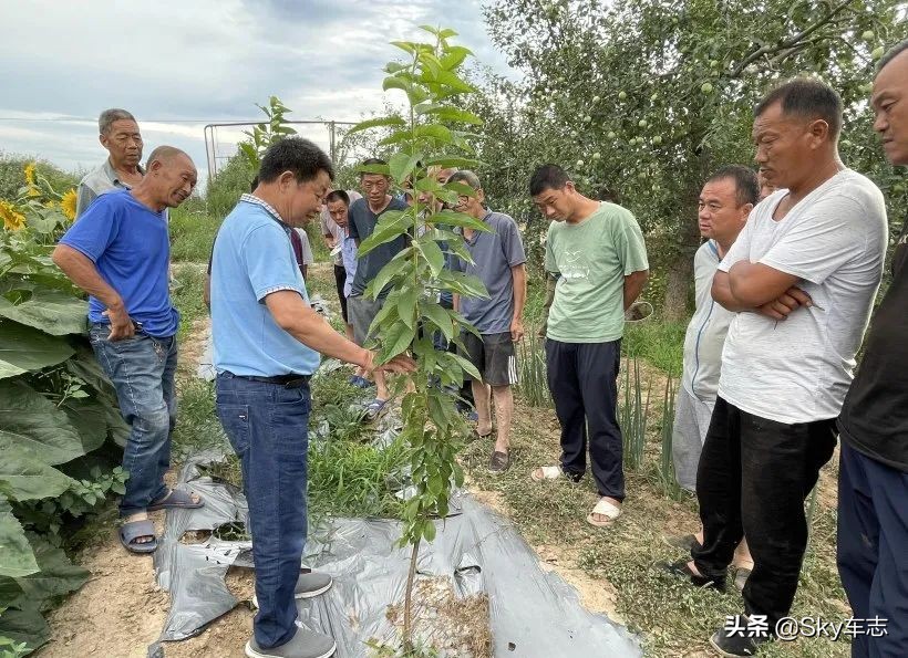 7万公里老款宝马x5,宝马x5的优缺点