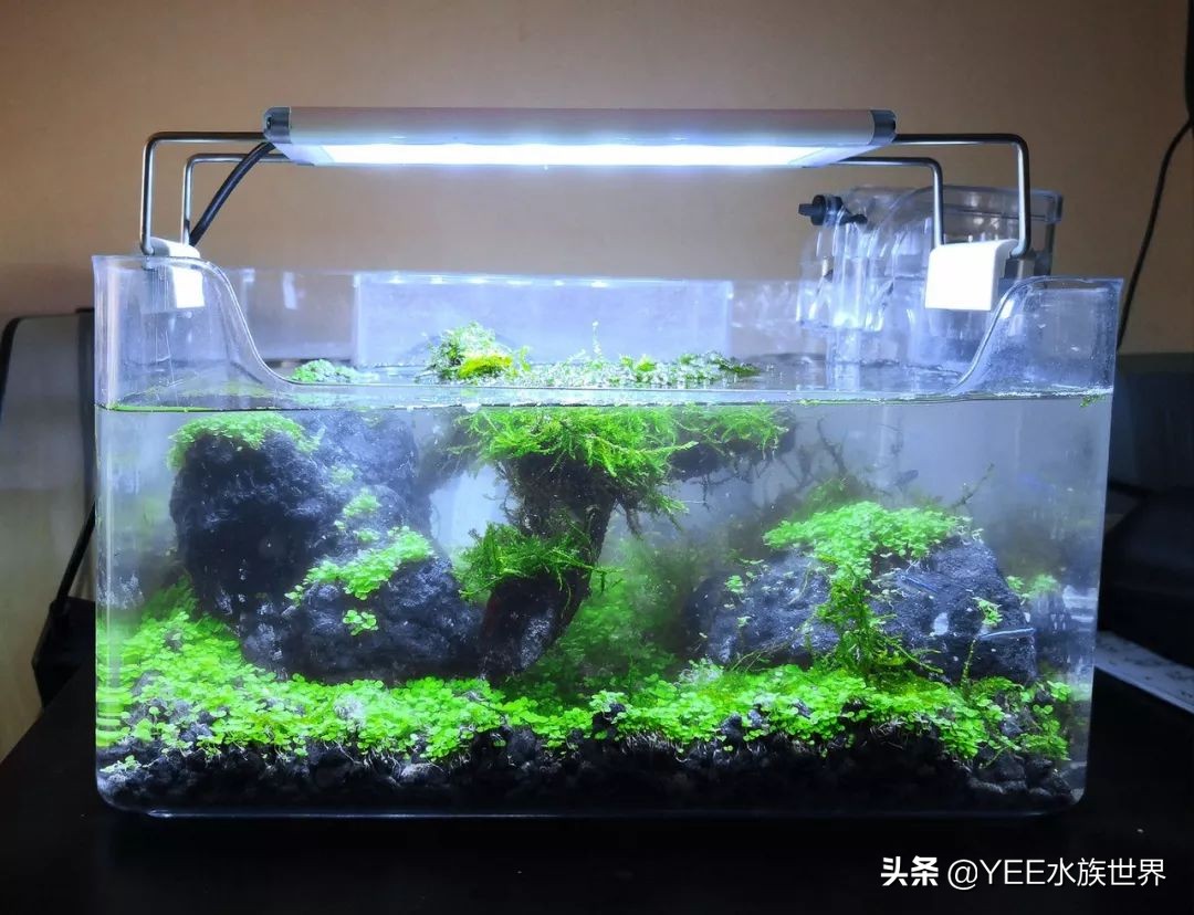 60草缸壁挂过滤推荐,草缸壁挂式过滤器