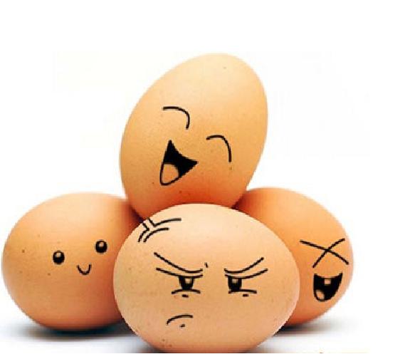 我做了一项小实验习作范文400字,习作我做了一项小实验作文评语