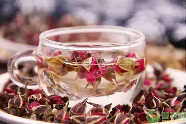 玫瑰花茶买哪个品种好,目前如何挑选玫瑰花茶呢
