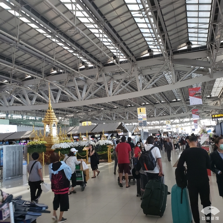 打卡泰航波音747头等舱，贴心空姐疯狂投喂，大龙虾鱼子酱吃到撑