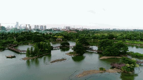 海珠湿地一期,海珠湿地公园走完要多久