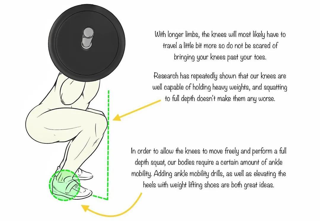 男女深蹲次数多少合适,练习深蹲一个月有什么效果