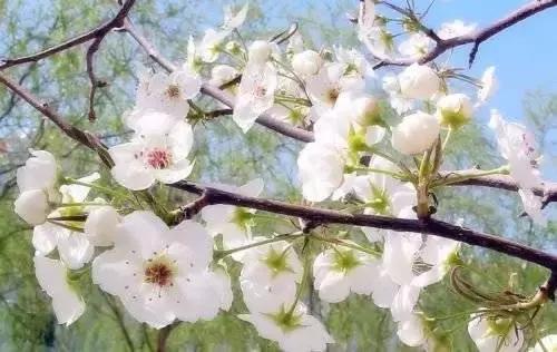 鹰潭好还是贵溪好,贵溪是一个怎样的地方