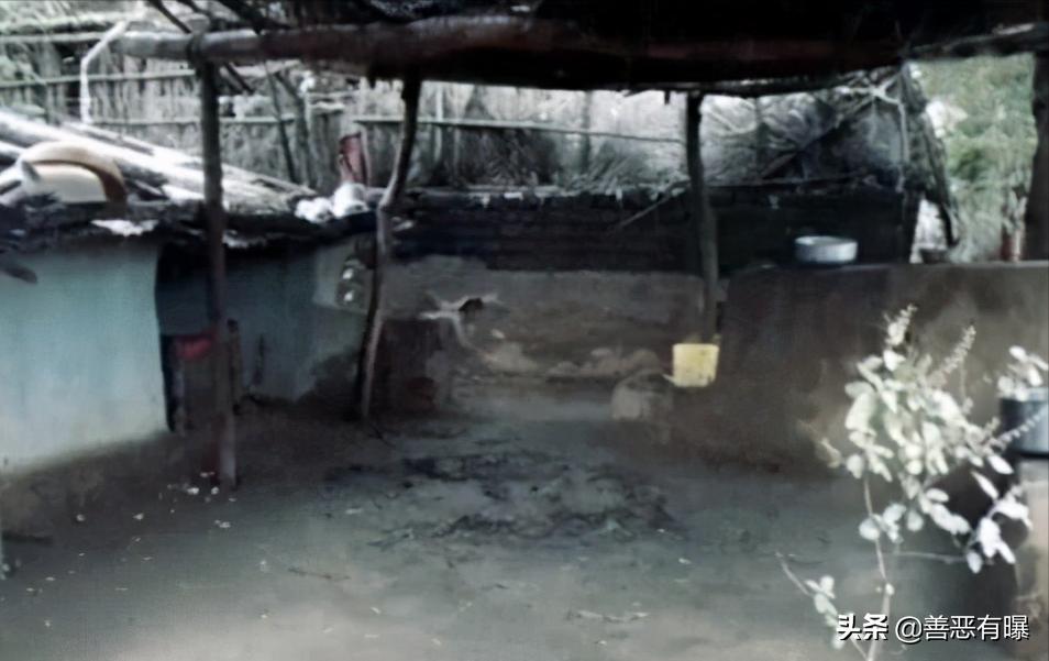 王熹贞羽化升仙,明代女道士羽化