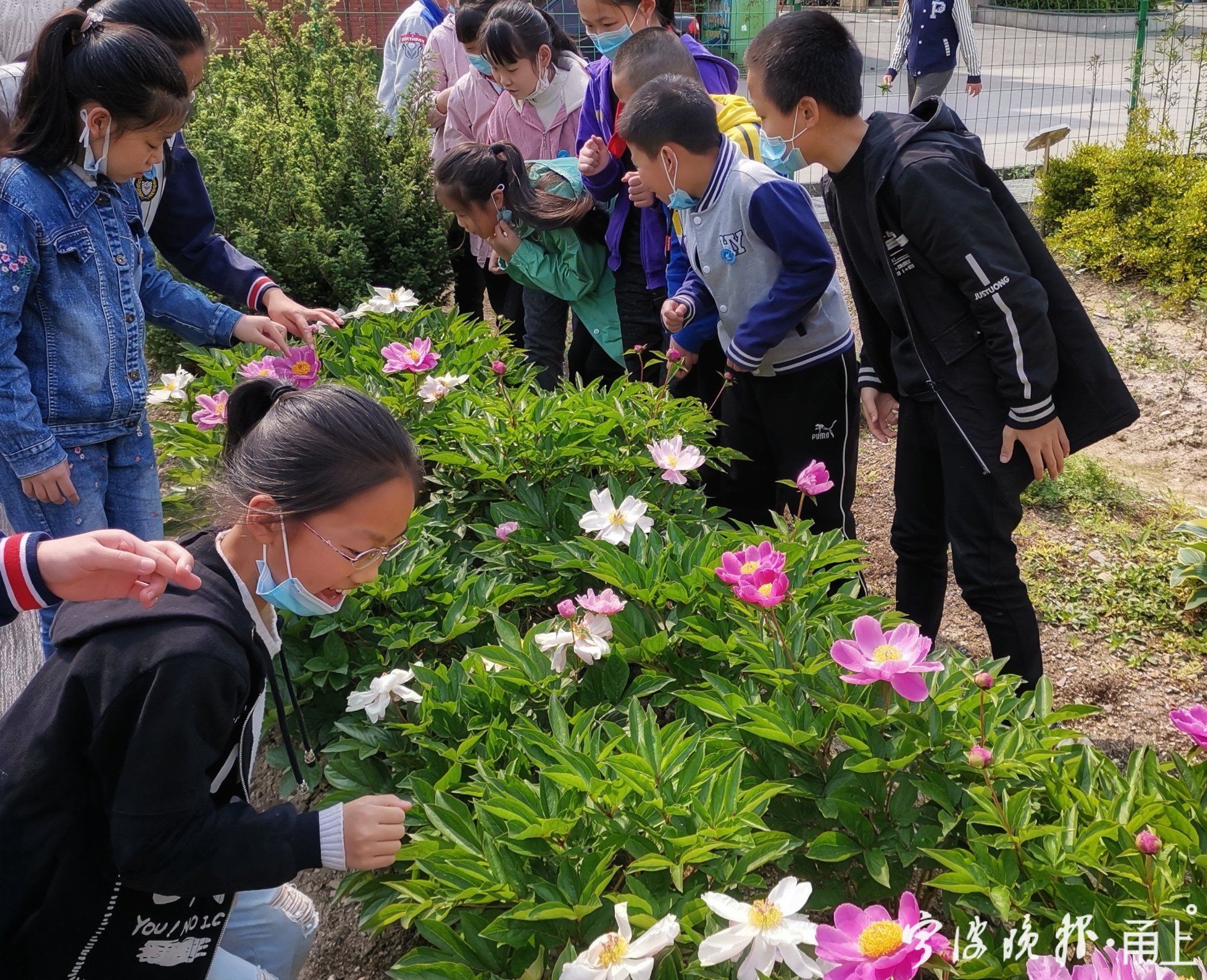 宁波最难进的8所学校,宁波最好的高水平学校