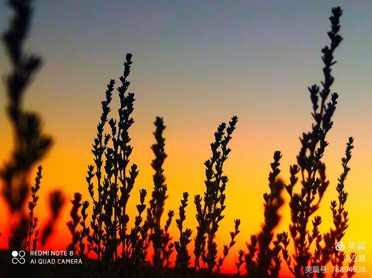 内蒙古二连浩特地图,内蒙古二连浩特机场