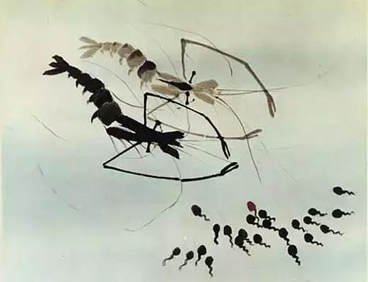 哪吒成功复活,哪吒这部动画片留下的深刻印象