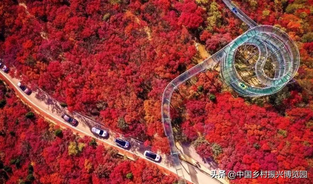 井陉人做了什么,井陉优秀人物