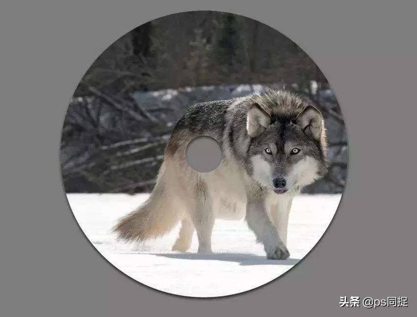 jpg图片批量裁切,如何快速批量裁切图片