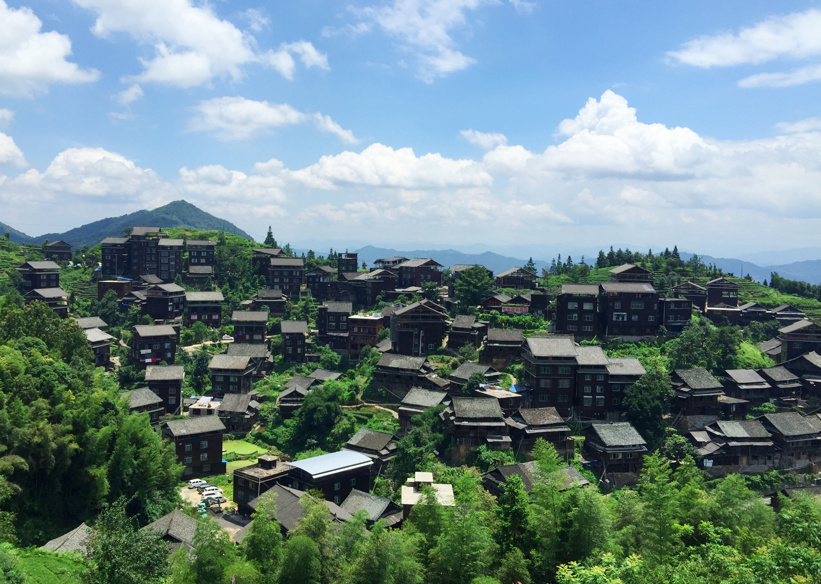 自炒茶叶纯天然,云南茶传统柴火手工炒茶