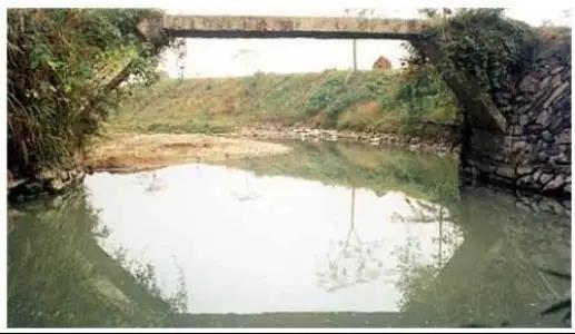 发现母亲与异性聊天你会怎么处理,女儿发现妈妈暧昧信息会怎么办