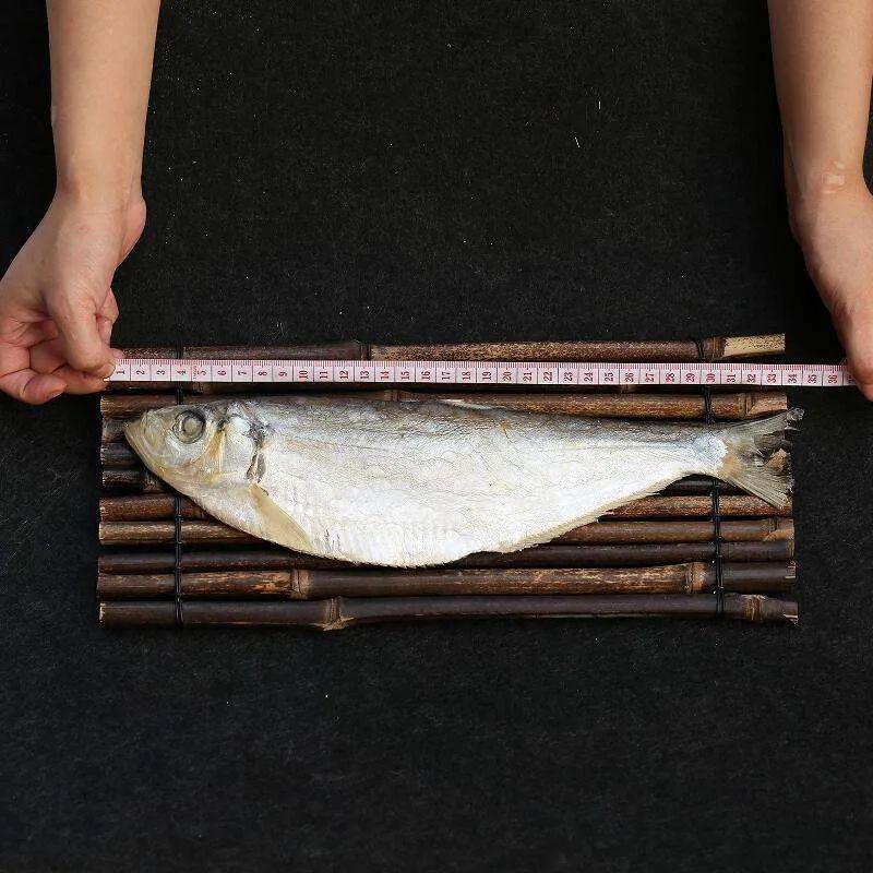 有什么样鳞片的鱼不能吃,这六种鱼千万不要吃