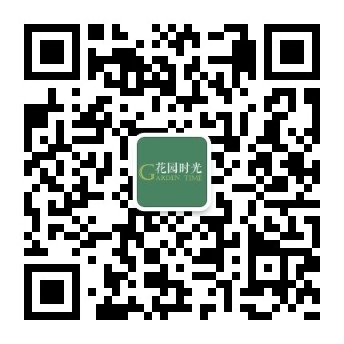 女王节，Prada鲜花让时尚破格融入日常