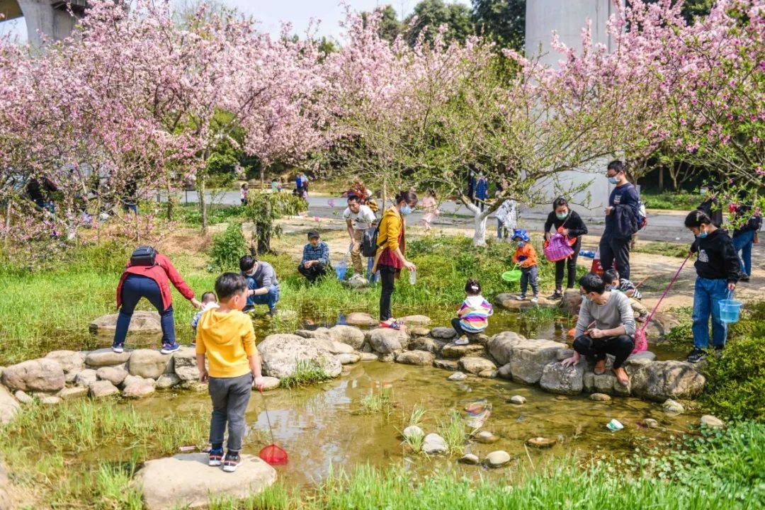 成都市秀丽东方,成都秀丽东方还在开放吗