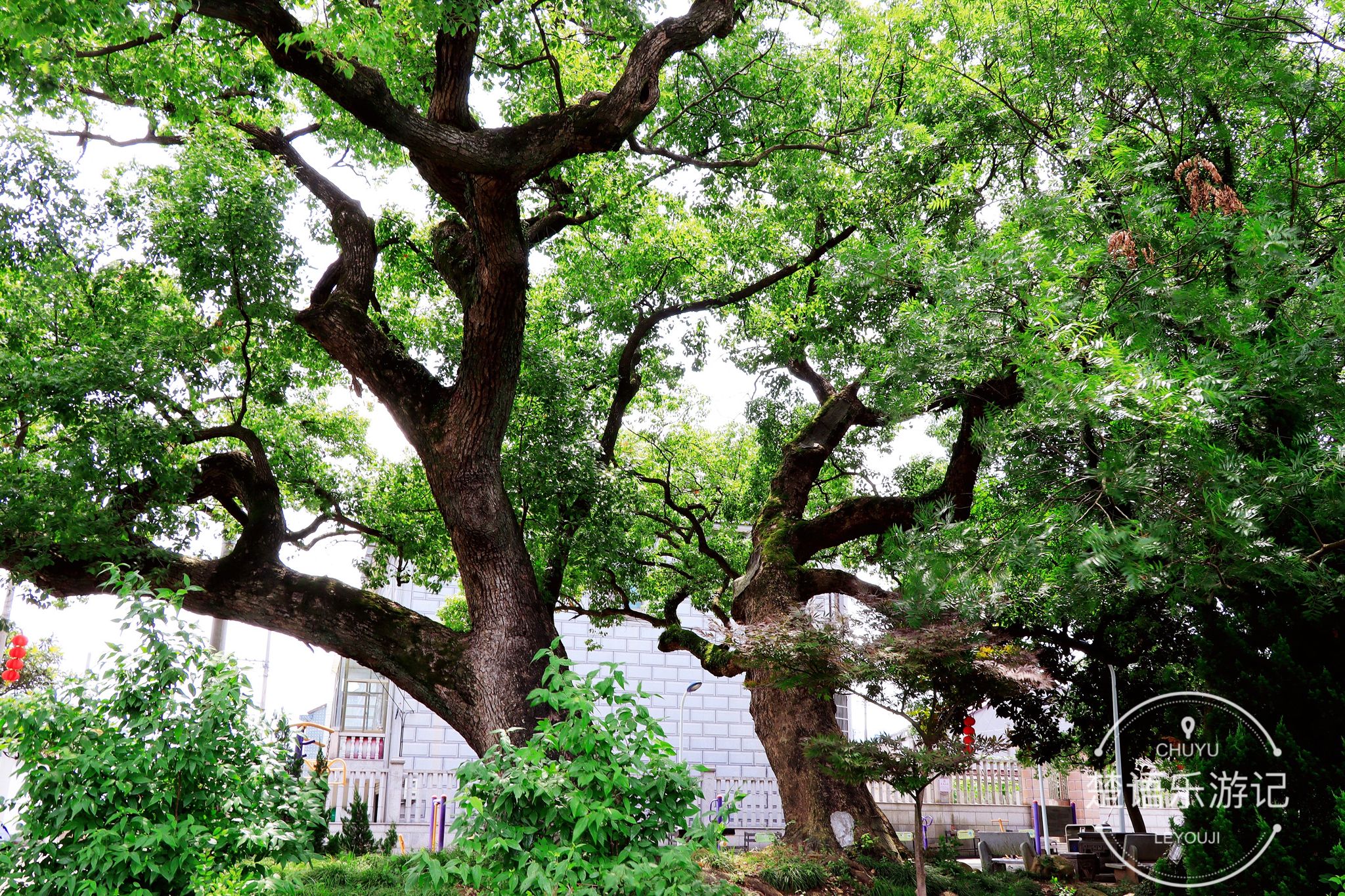 慈溪方家河头古村晚上有旅游的吗,慈溪方家河头村古村落