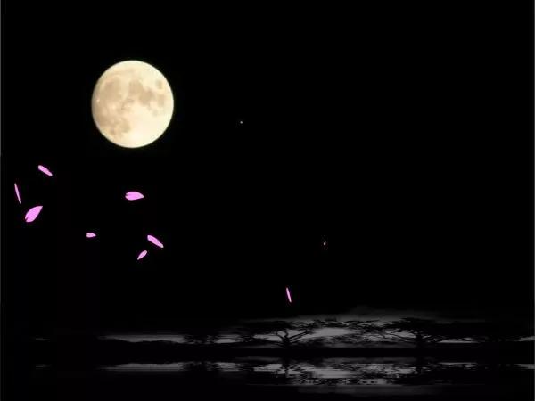 古诗句中关于月亮的意象的分析,唐诗中月亮意象的情感内涵研究