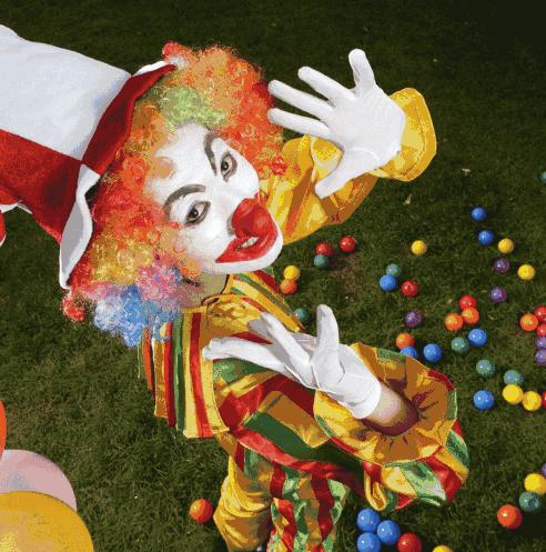 南沙葵园花海景区,广州南沙万顷葵园最佳旅游时间