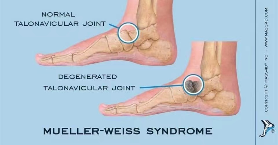 休息是为了走很远的路怎么回复,休息是为了走更长的路曾仕强