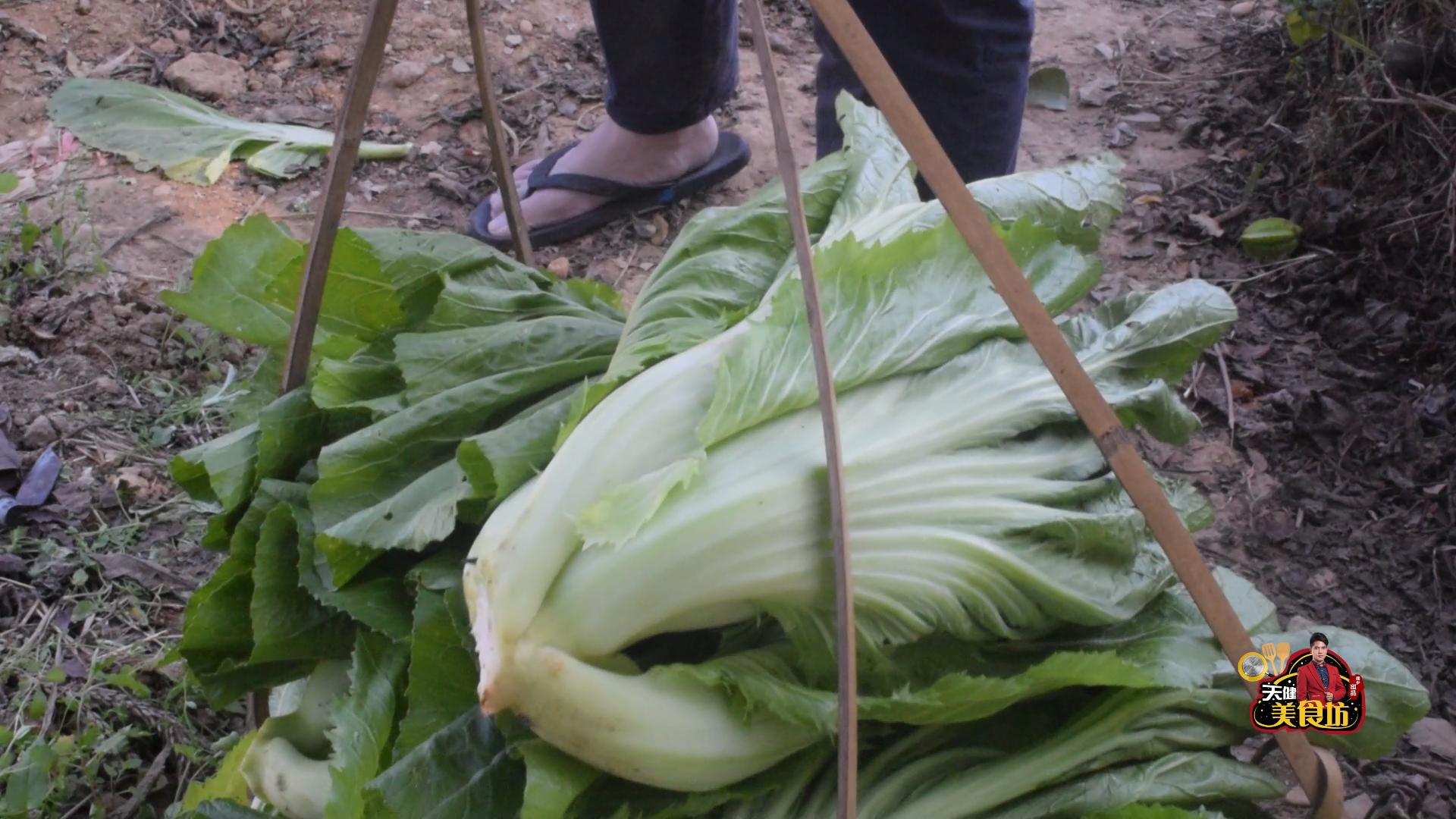 酸菜怎么腌制又脆又好吃,东北酸菜怎么做才脆爽