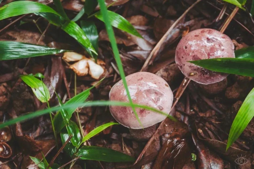 深圳值得打卡的建筑物,深圳最值得打卡的山