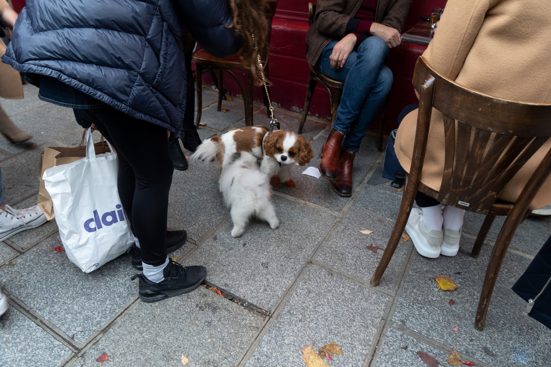 索尼a7siii录像,索尼a7s一代评测