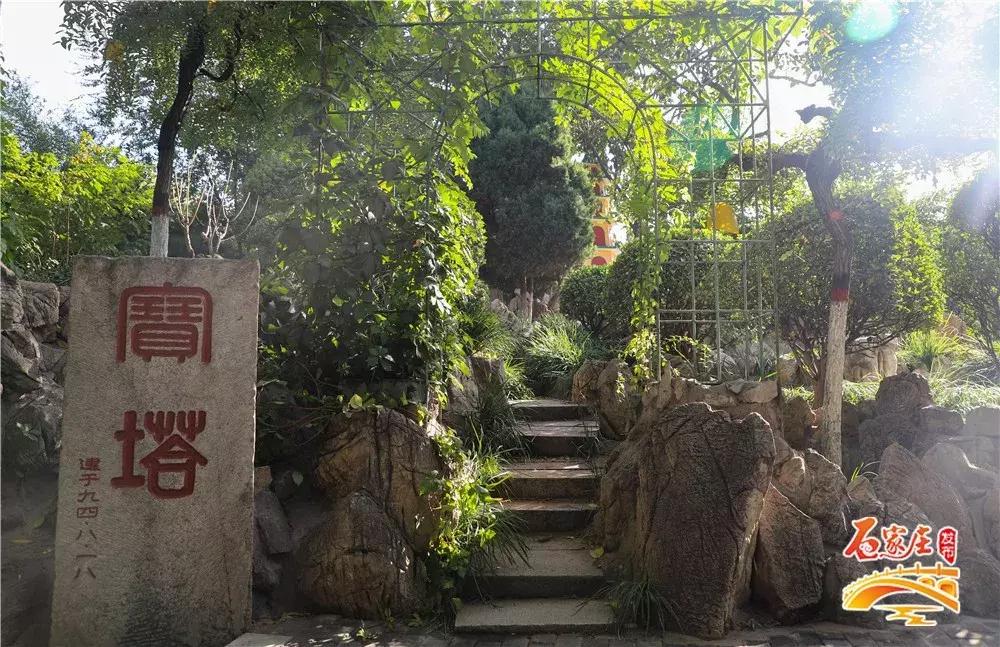 四十年前石家庄街景视频,石家庄40年