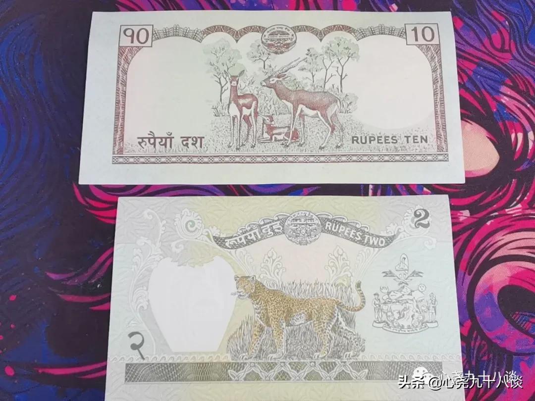 晚风还新,时光未老,每一枚硬币都是来过的见证,致敬逝去的岁月