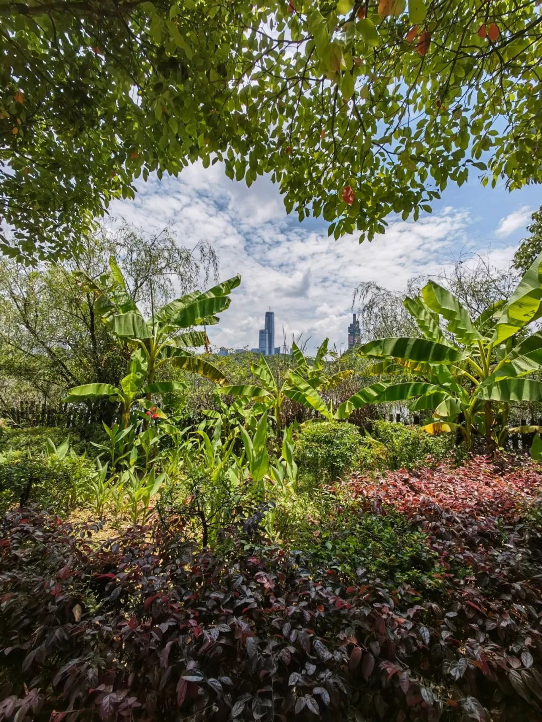 华为p50e上手体验,华为p50手机性能及价格