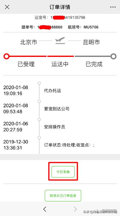 给大家介绍宠物托运的全过程,找托运宠物公司托运宠物注意什么