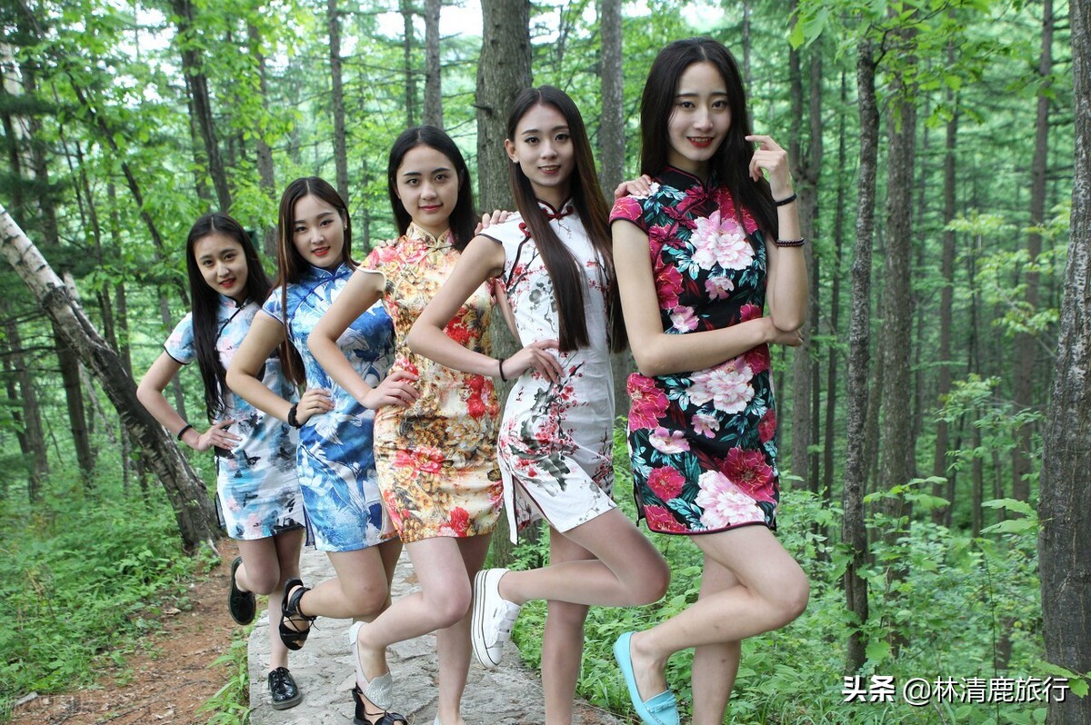 河南适合老人的自然景区,河南适合自驾游的山路