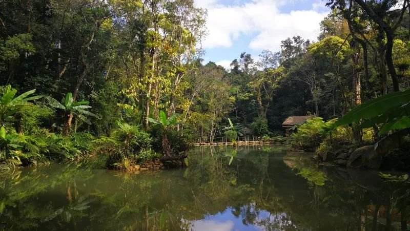 猴腺鸡尾酒背后的阴暗面,猴杯故事梗概