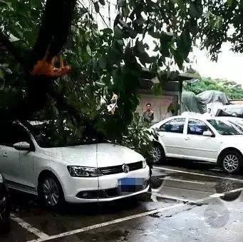 在辞旧迎新的时刻回顾过去,在过去的一年我们都经历了什么