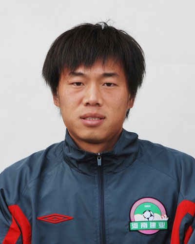 中国足球运动员陆峰,陆峰河南队