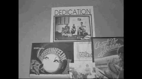 vanschina范志毅,范志毅vans