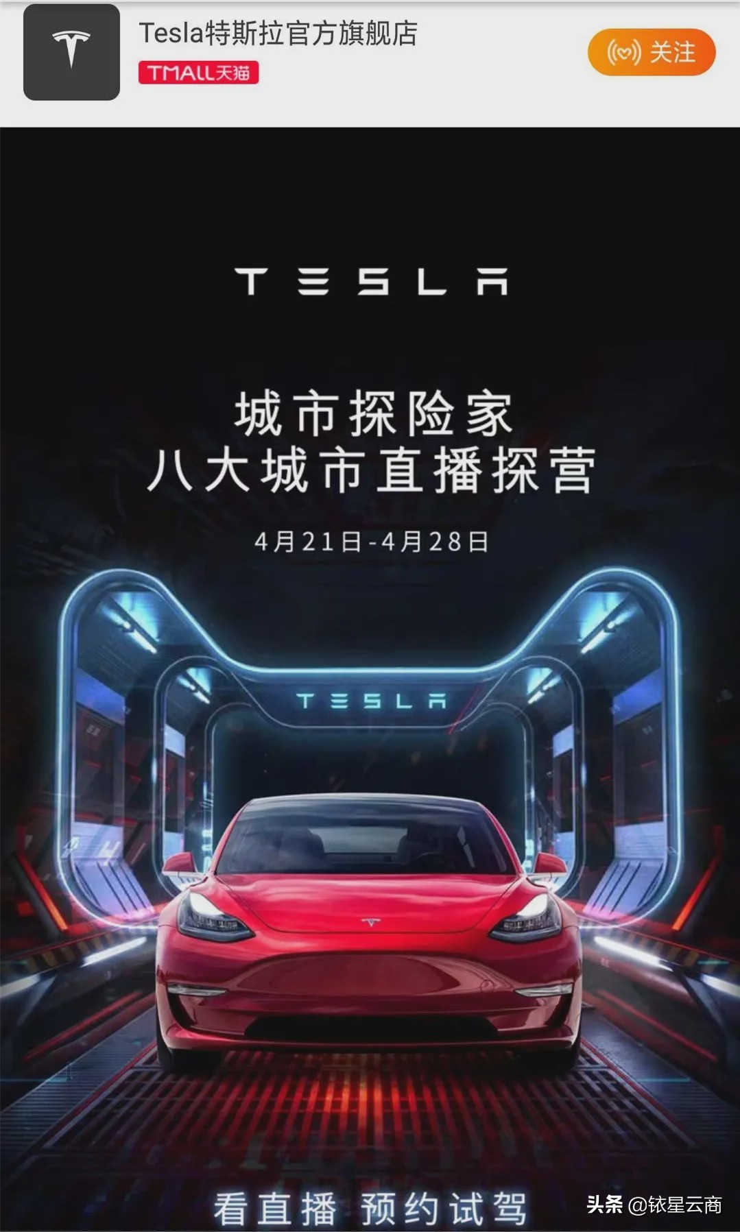 宝格丽万宝龙,宝格丽伯爵价格