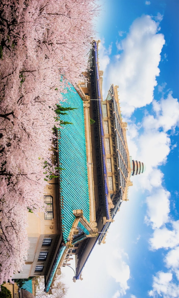 2019军运会开幕式完整回放,军运会精彩时刻