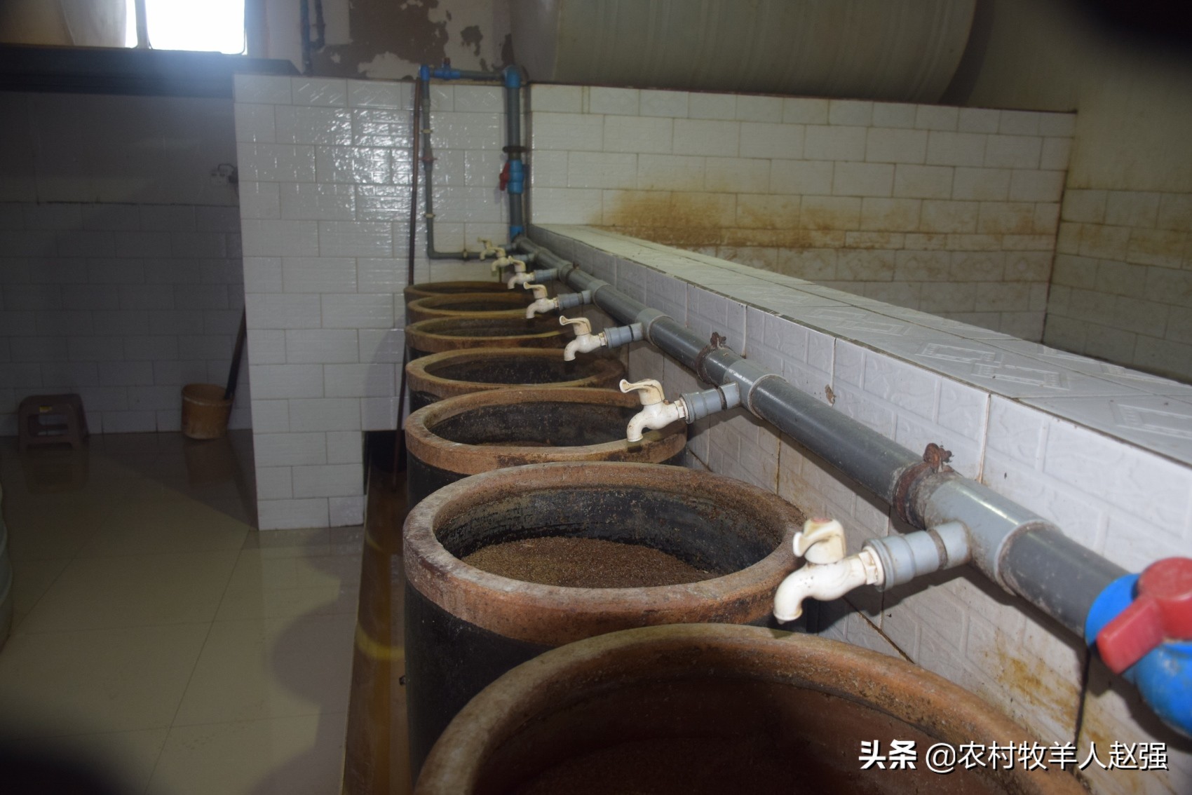 正宗传统酿醋,传统酿醋技艺