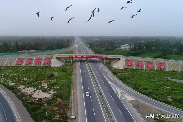 伽师县发展,伽师发展