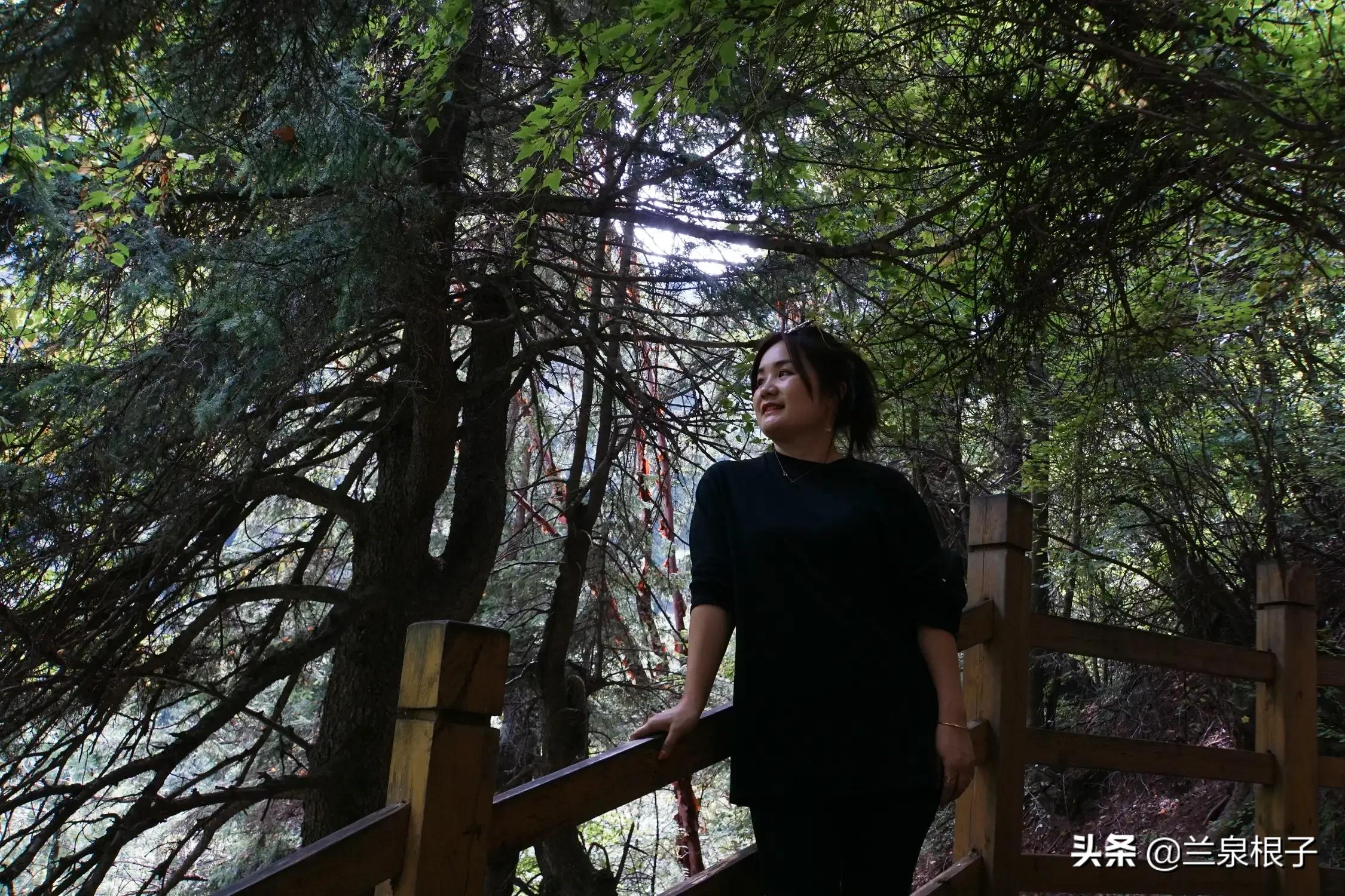 秋日之旅旅游攻略,秋日自驾游视频