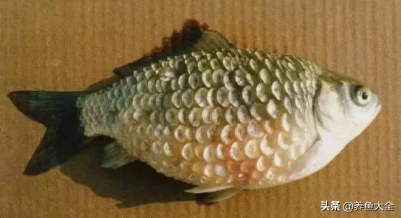 疾病科普小讲堂,疾病知识小讲堂