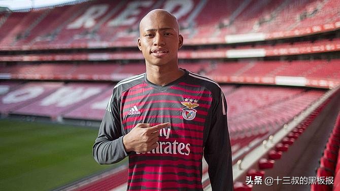 日非混血多吗,日非混血运动员