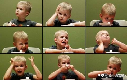 对斯多葛派哲学的看法,对斯多葛派人生观的看法