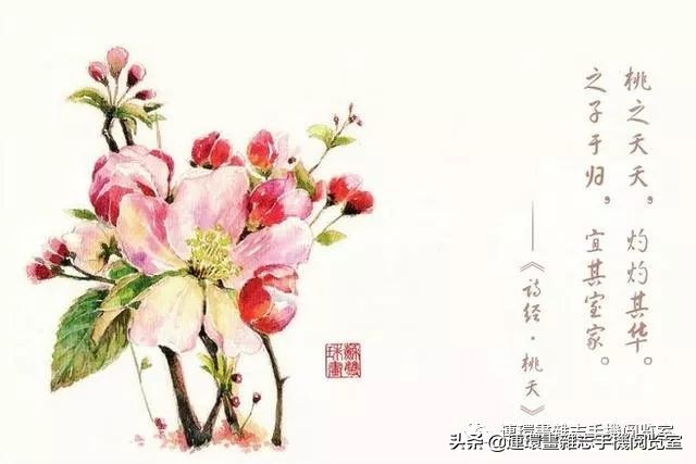 诗经俏皮句,诗经美句朗读