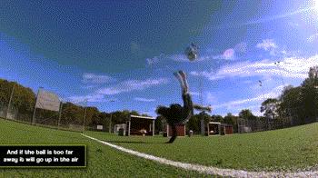 踢球只要学会这10招,傻子都能学会的踢球技巧