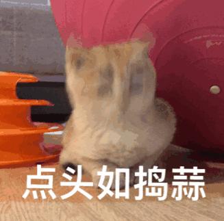 关注盆底健康做最好的自己,关注康复治疗