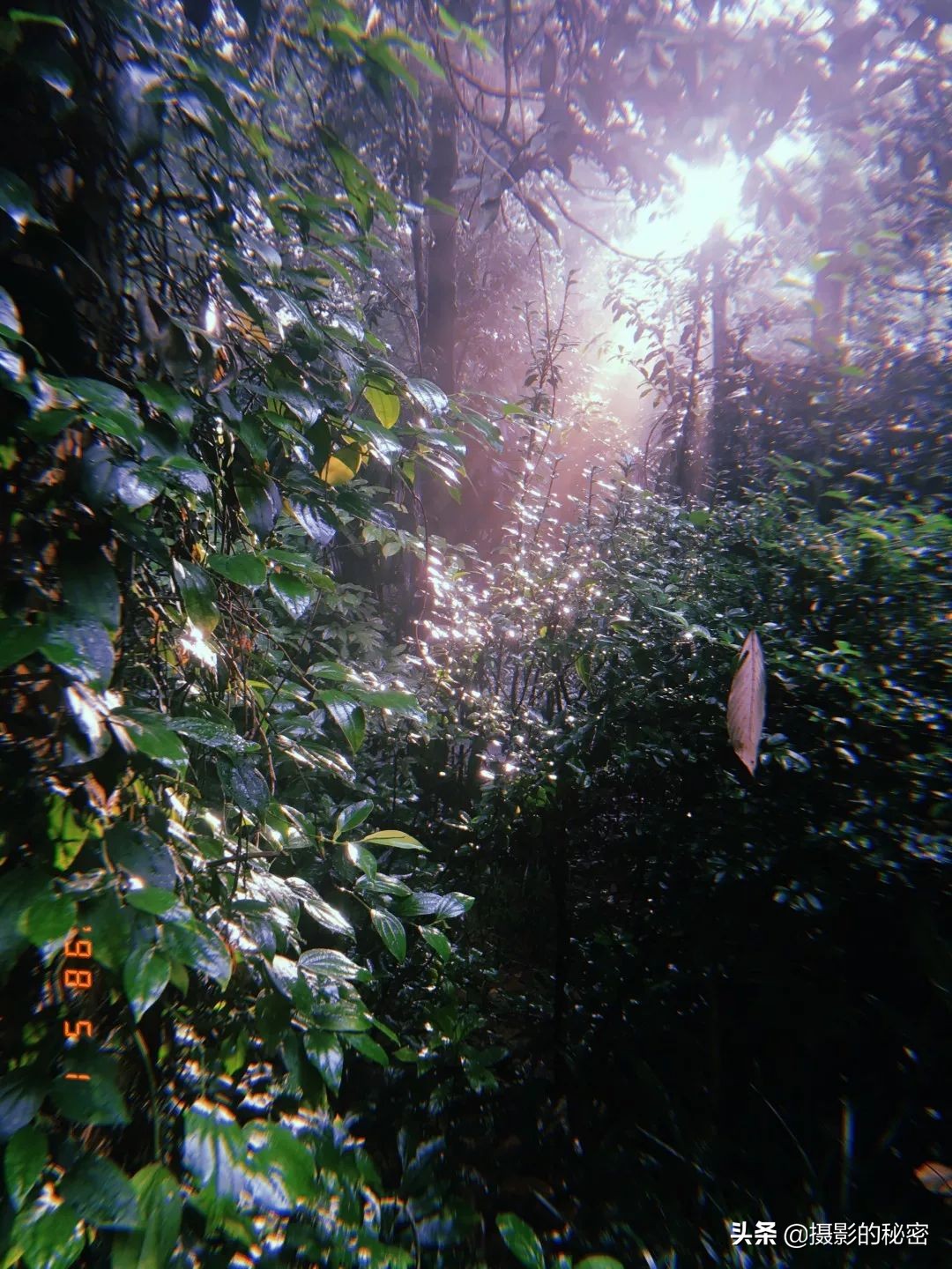 摄影专用手机推荐,摄影手机入门推荐