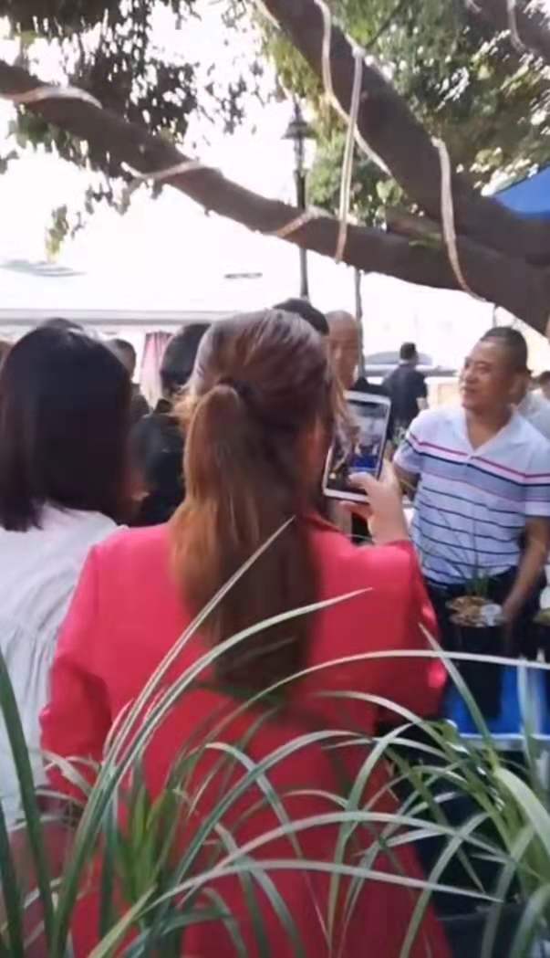 成都市兰花交易市场,温江兰花交易市场在哪