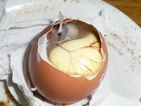 恐怖10道奇葩美食,奇葩恐怖食物