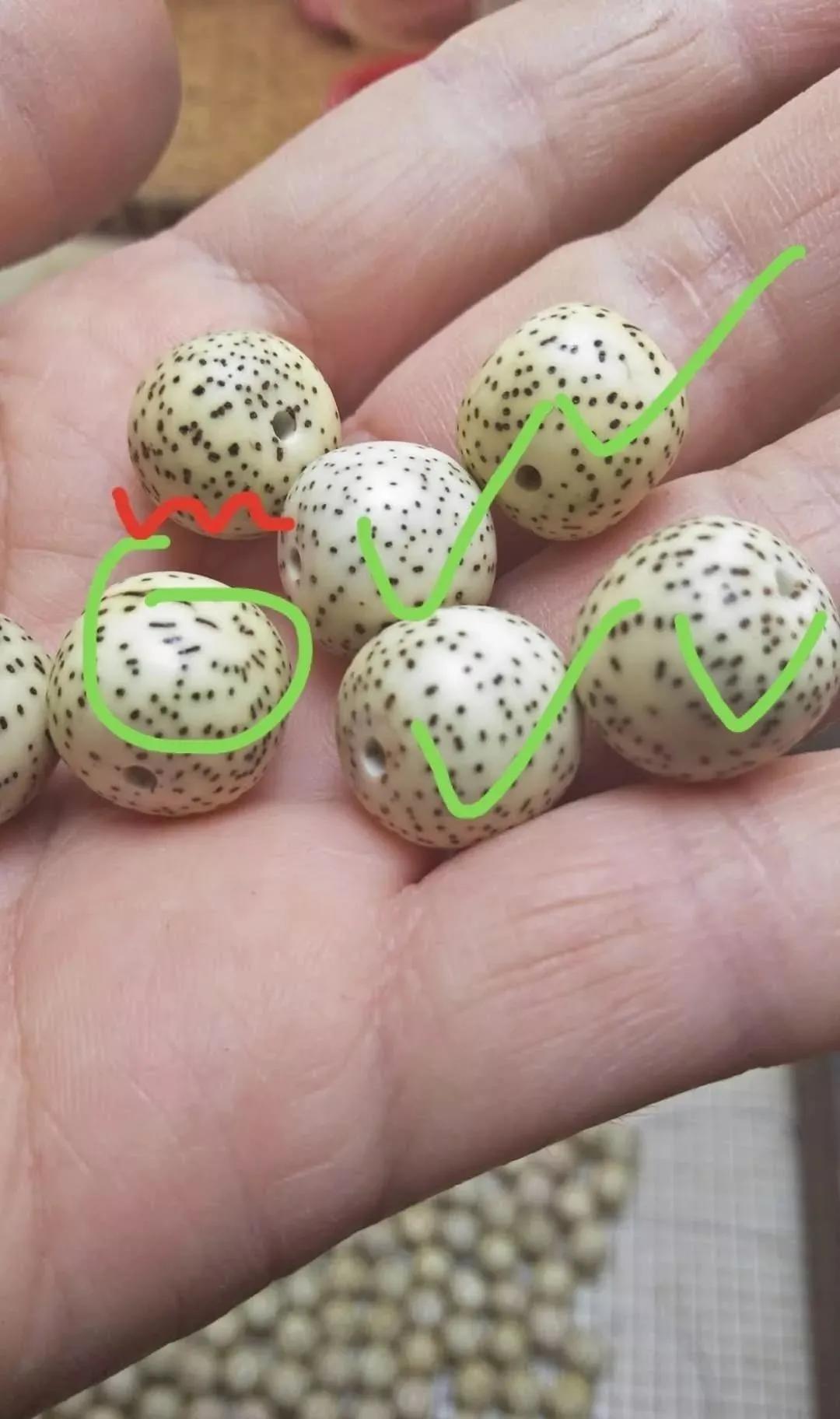 紫金鼠和星月菩提哪个更值得盘玩,星月菩提无相值得盘吗